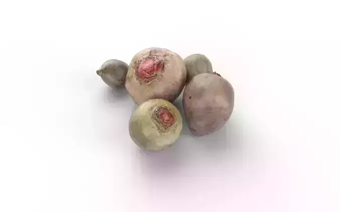 Beet Set02 Low-poly 3D model 6