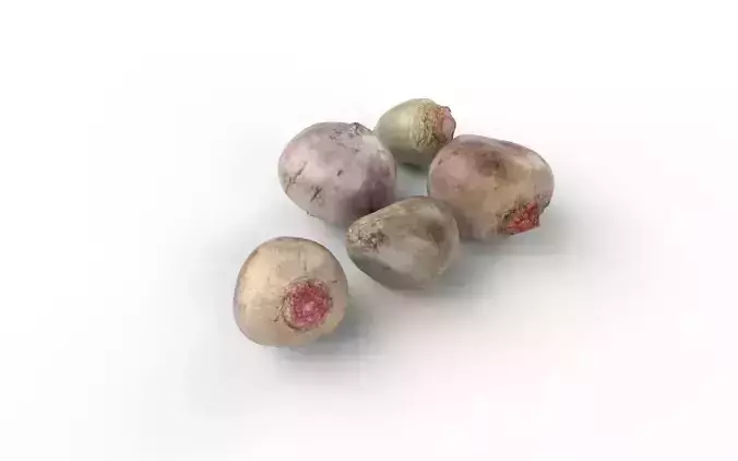 Beet Set05 Low-poly 3D model 5