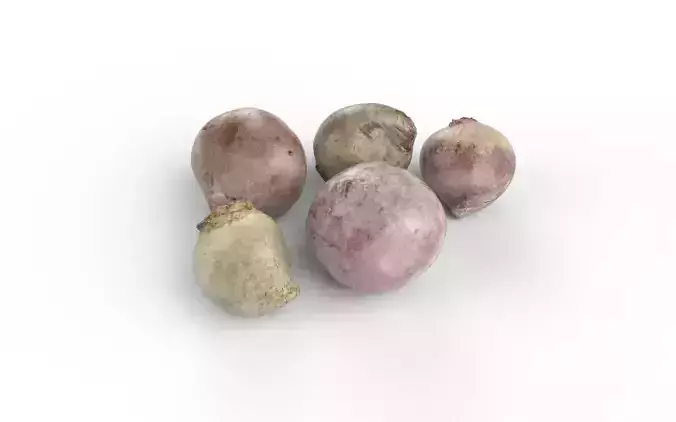 Beet Set05 Low-poly 3D model
