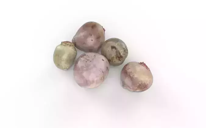 Beet Set05 Low-poly 3D model 4