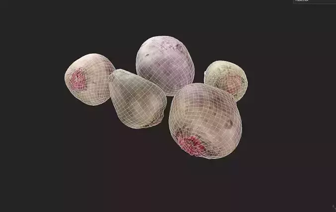Beet Set05 Low-poly 3D model 7