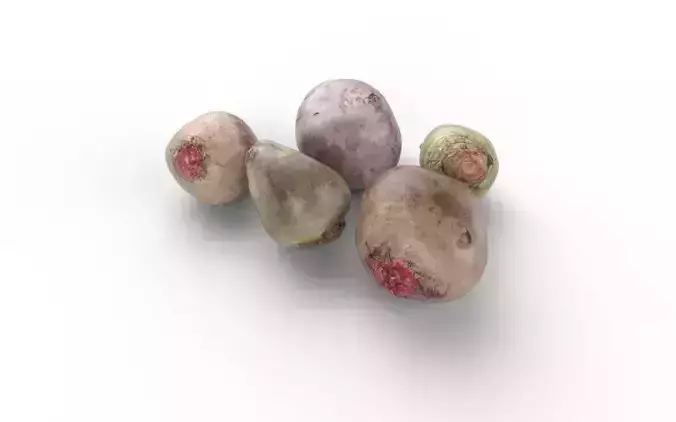 Beet Set05 Low-poly 3D model 6