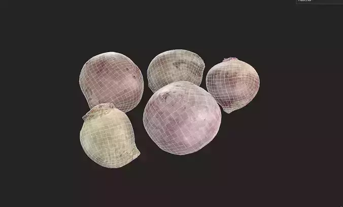 Beet Set05 Low-poly 3D model 2