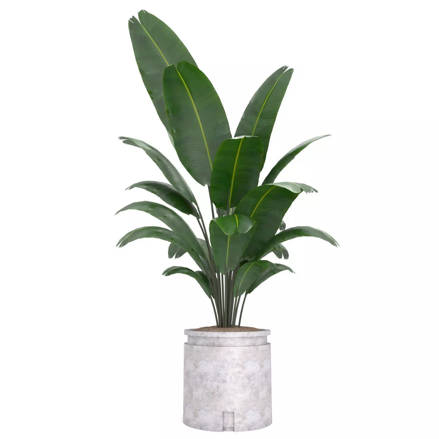 Decoration-Flower-27 3D model