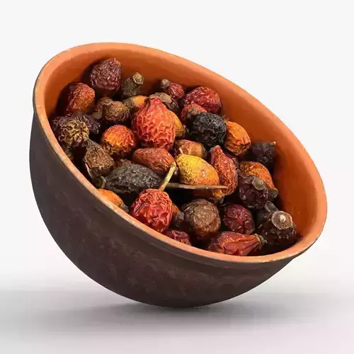 Photorealistic 3D scan of Clay Bowl with Dried rose hip Low-poly 3D model