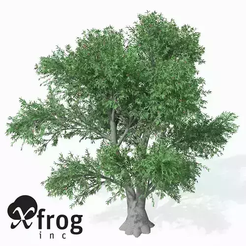 XfrogPlants Service Tree