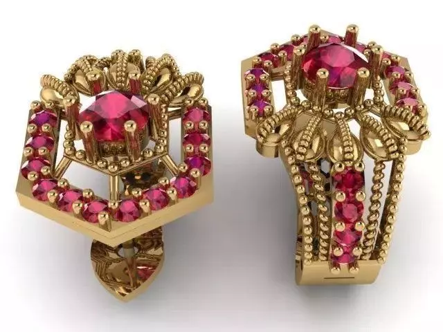 India Traditional Hoop Earrings 3D print model