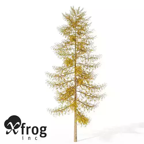 XfrogPlants Autumn European Larch 3D model