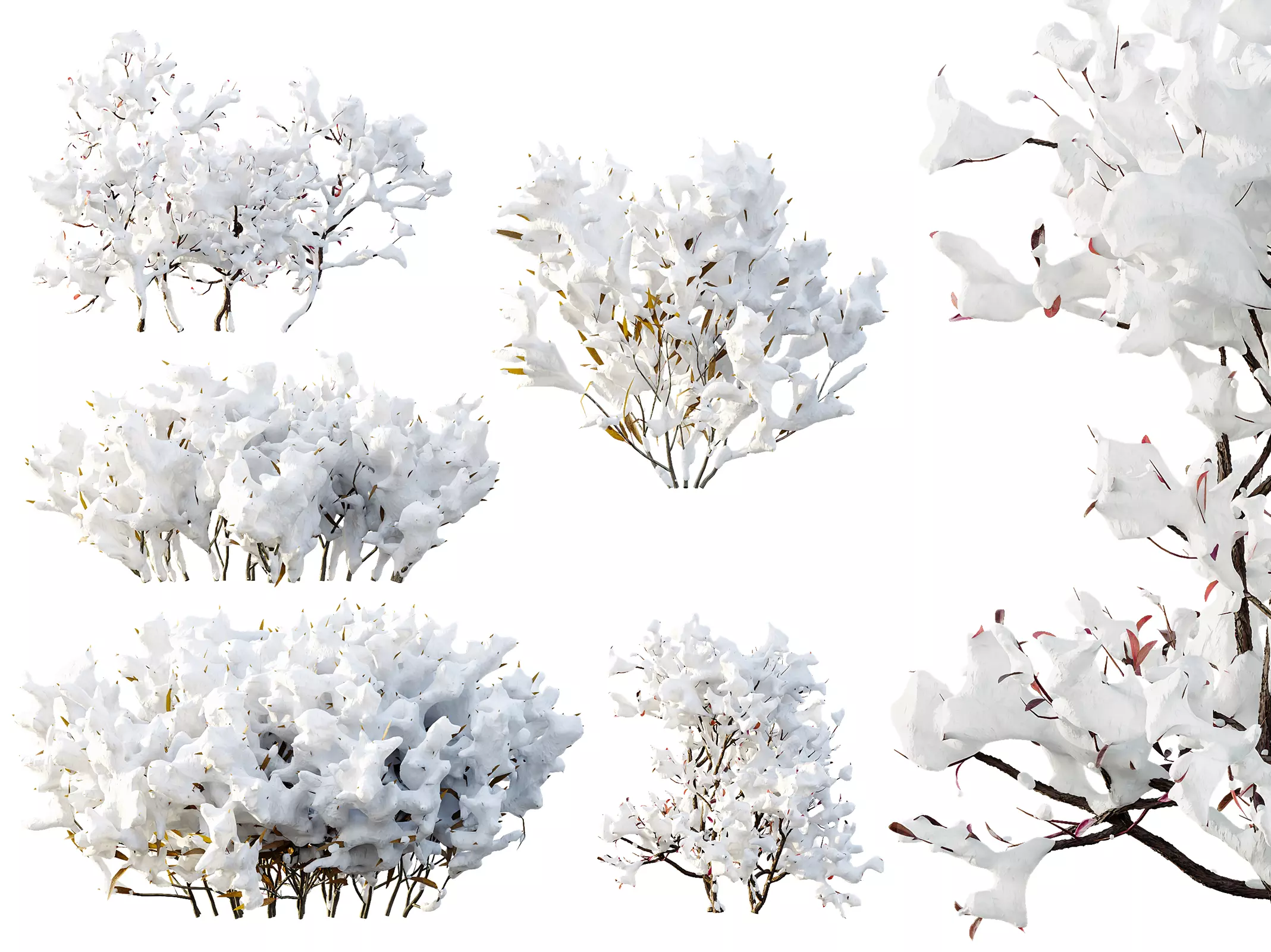 AV Plant Snow Pennsylvania Bayberry and Mexican Sage 3D model