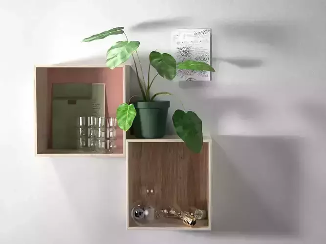Wall Shelves Composition