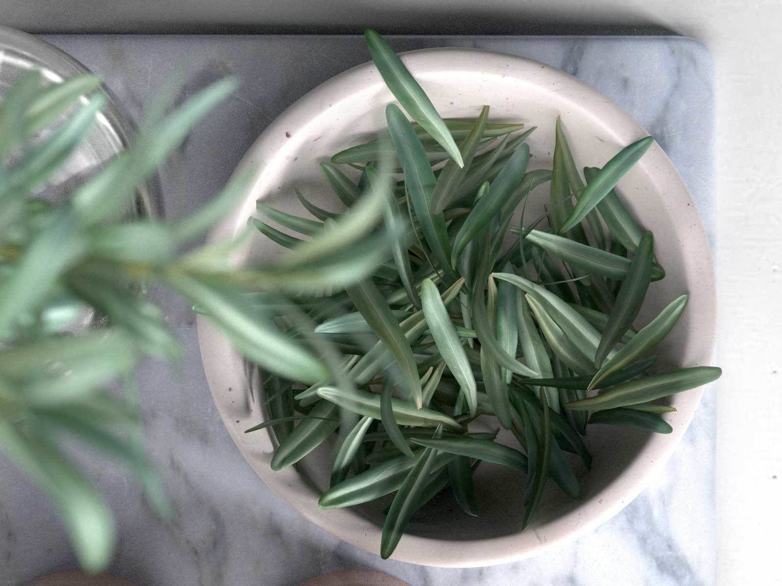 Trays with Bowls Rosemary Olive Oil Salt and Pepper 3D model_2