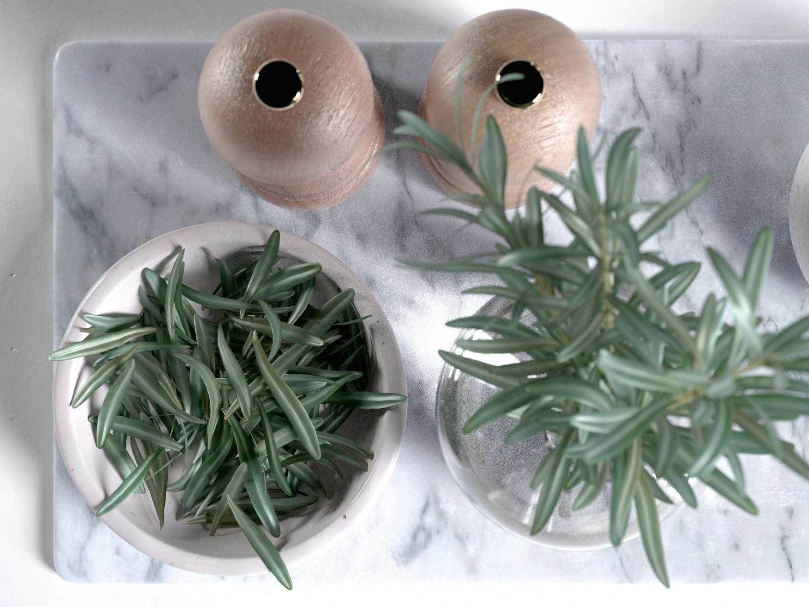Trays with Bowls Rosemary Olive Oil Salt and Pepper 3D model_3