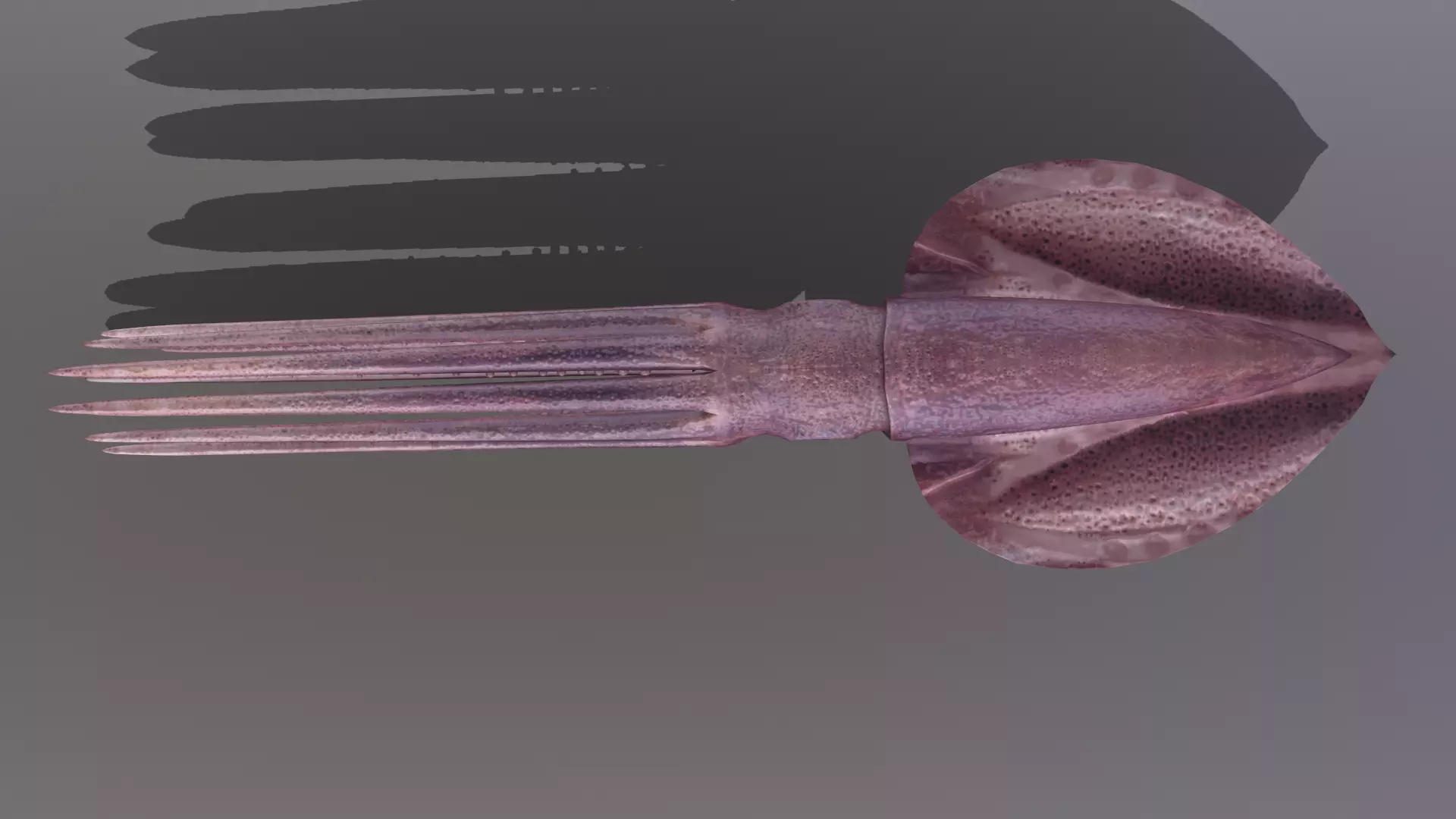 squid Low-poly 3D model