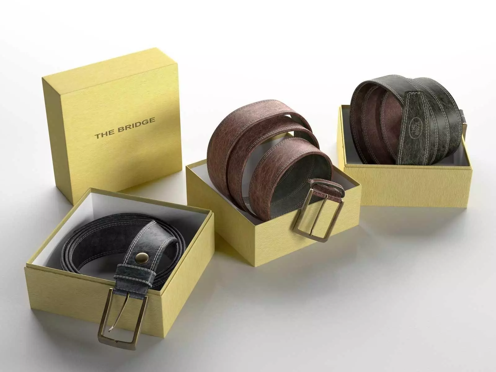Mens Belt Free 3D model