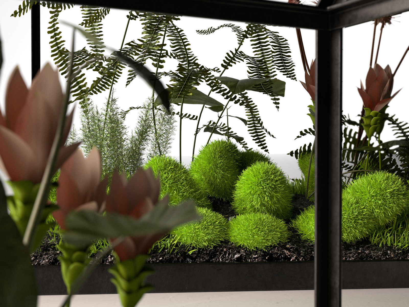 Mini Glass Greenhouse and Stack of Books with Cup 3D model_1