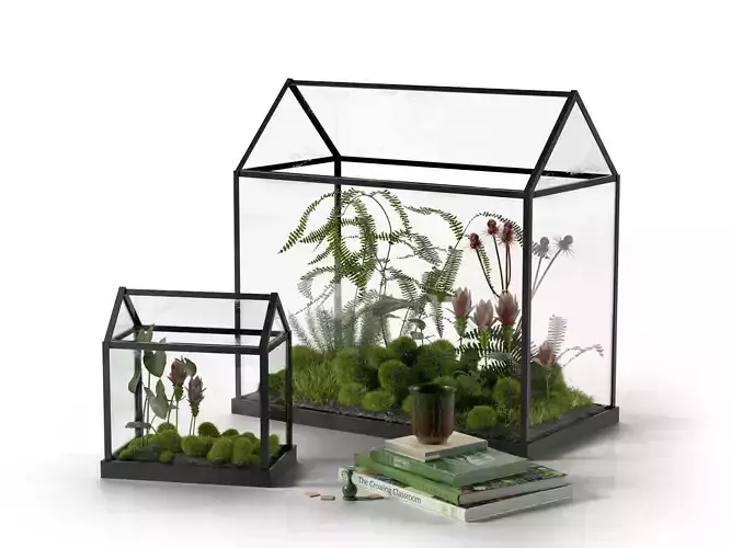 Mini Glass Greenhouse and Stack of Books with Cup