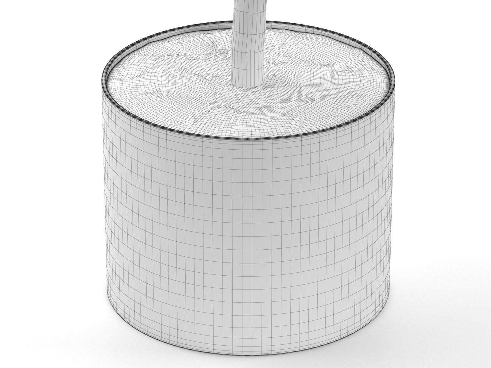 Lemon Tree in Pot 3D model_5