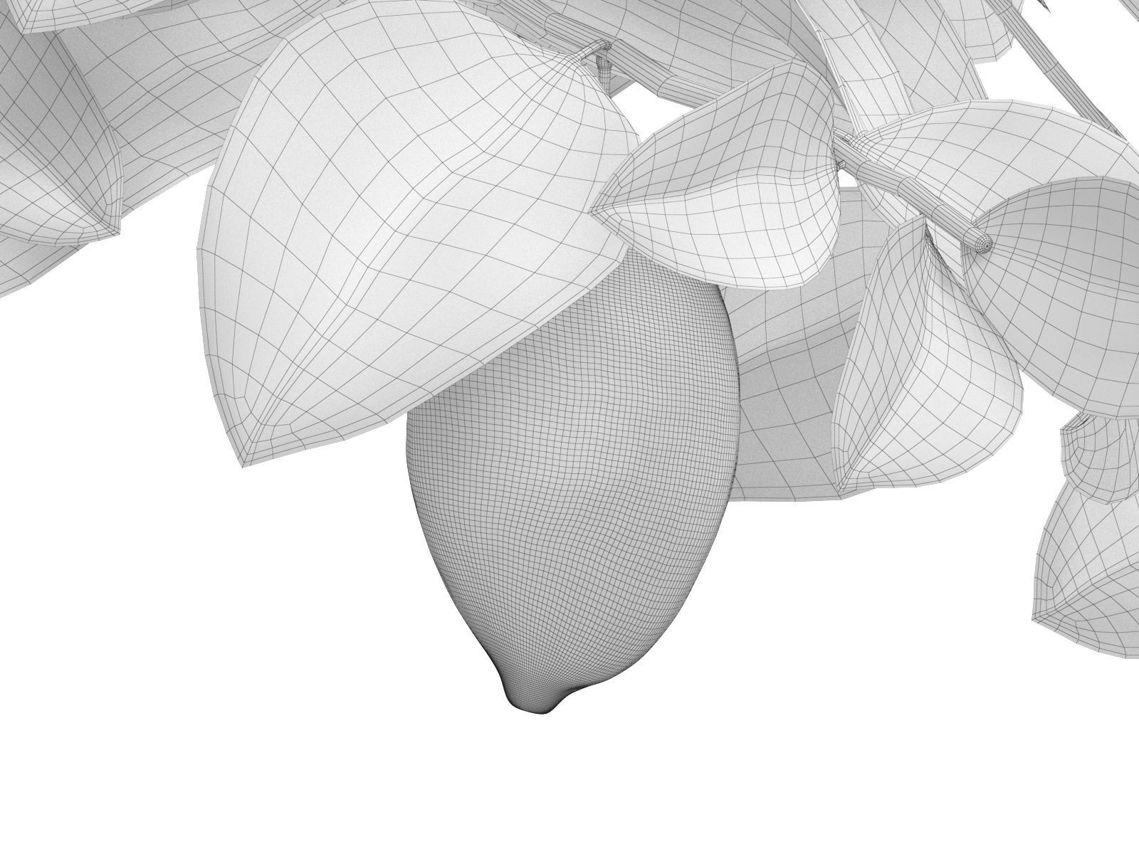 Lemon Tree in Pot 3D model_6