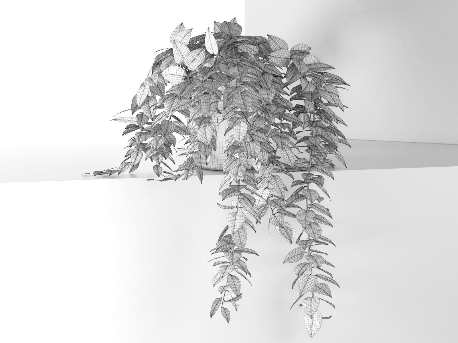 Epipremnum in Pot 3D model_3