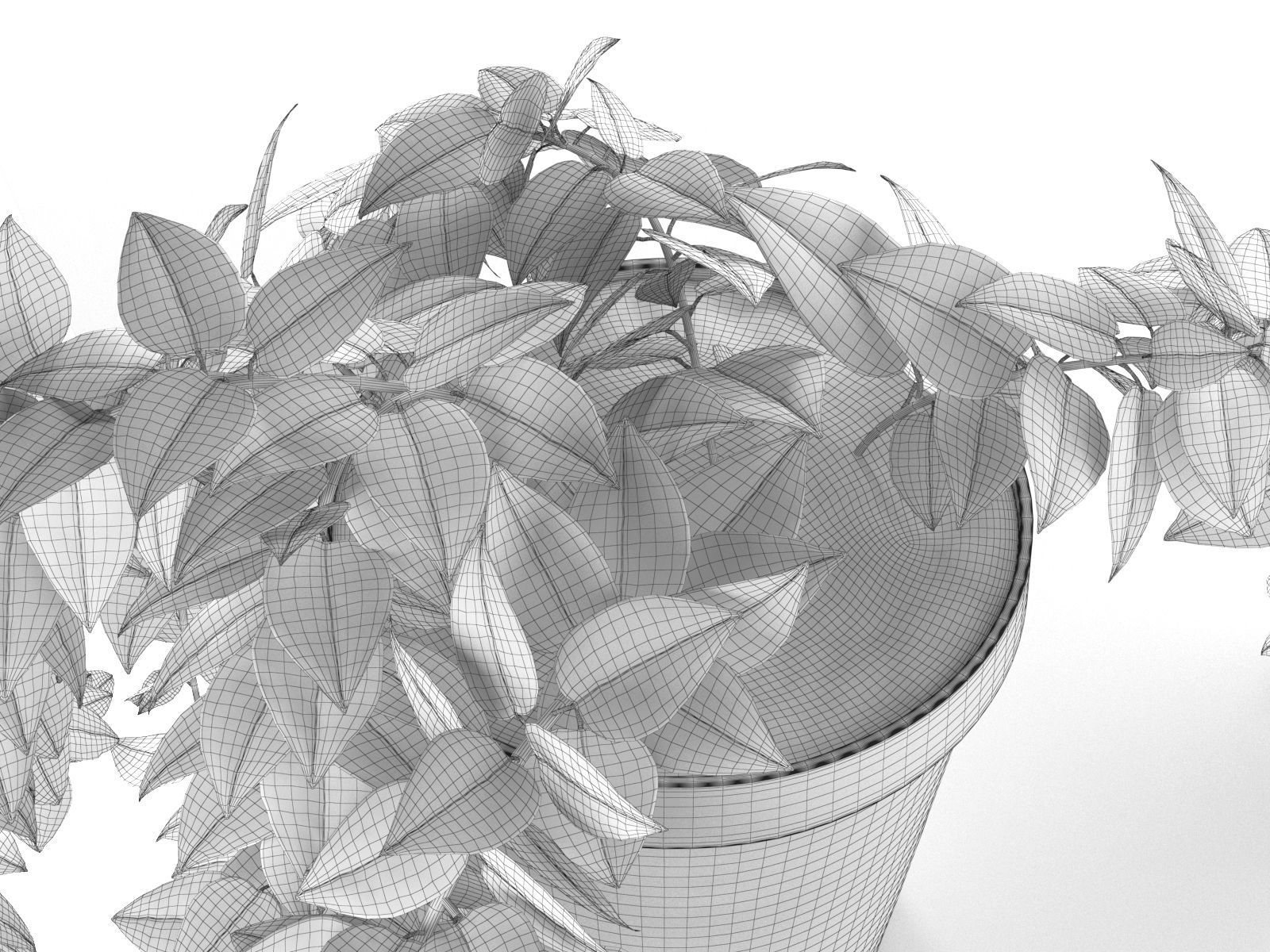 Epipremnum in Pot 3D model_4
