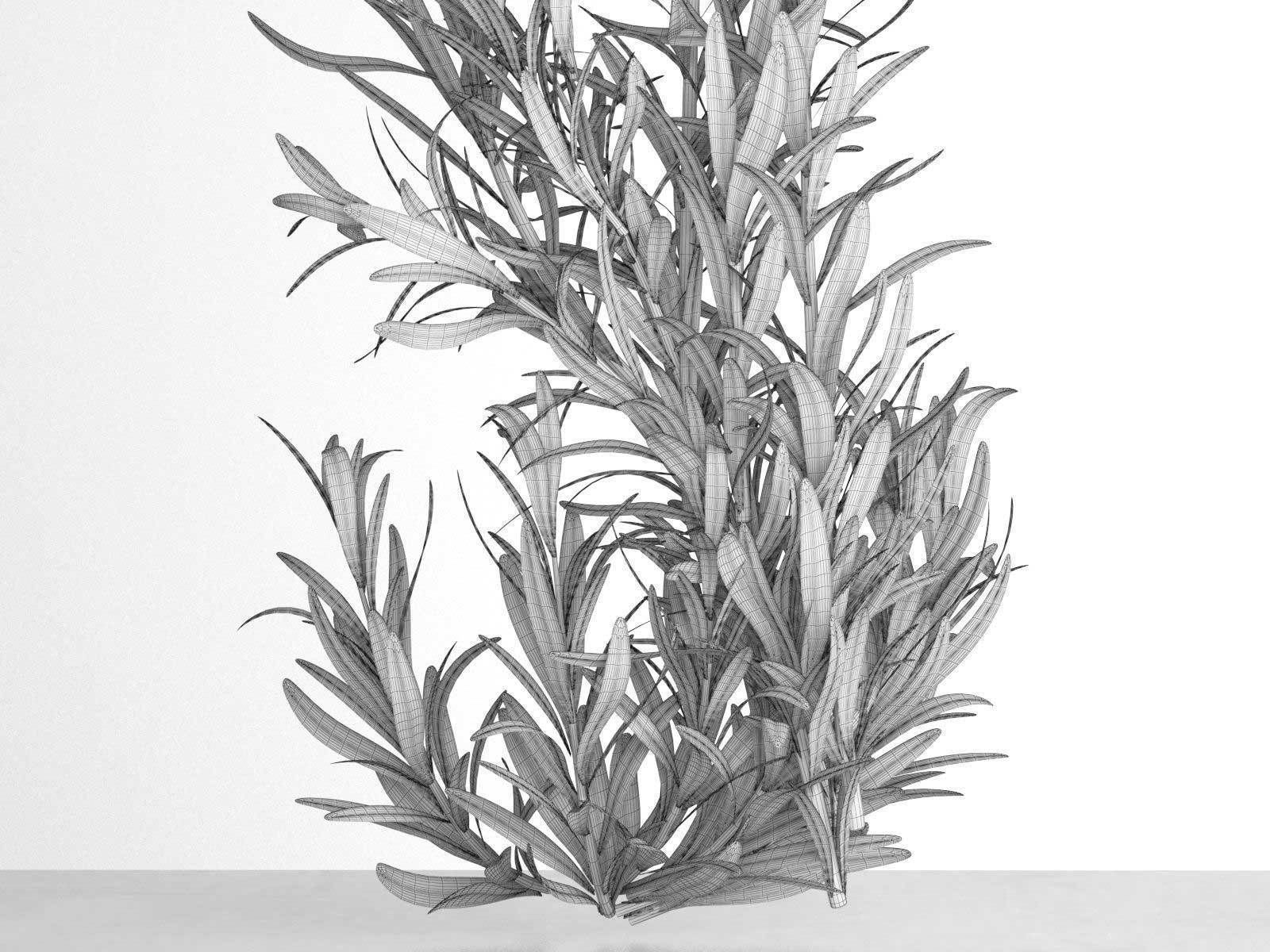 Bottle Vases with Branches and Orange Slices 3D model_5