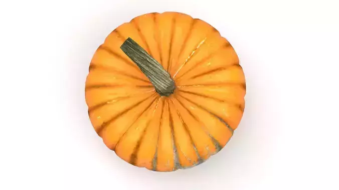 Pumpkin 3D model 4