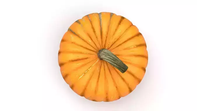 Pumpkin 3D model 2