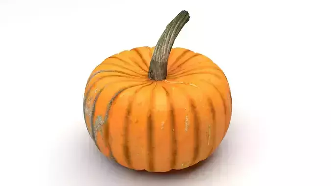 Pumpkin 3D model