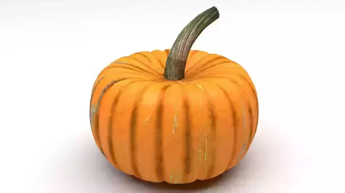 Pumpkin 3D model 6