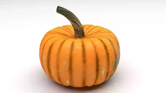 Pumpkin 3D model 3