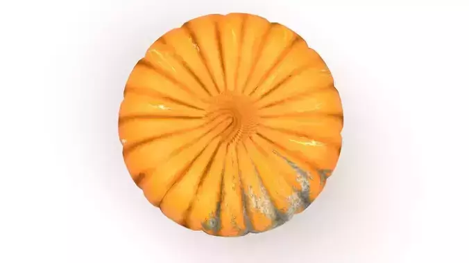 Pumpkin 3D model 5
