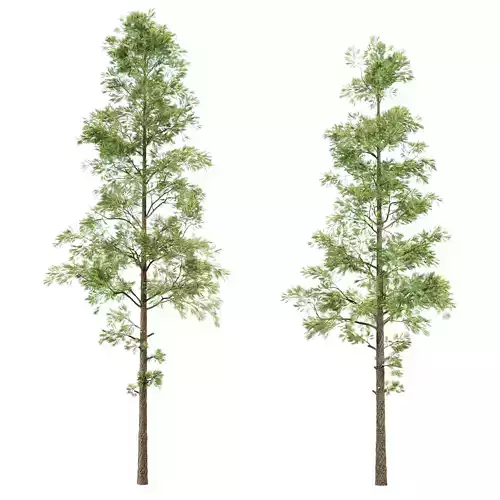 Trees 3D Model Vol 391