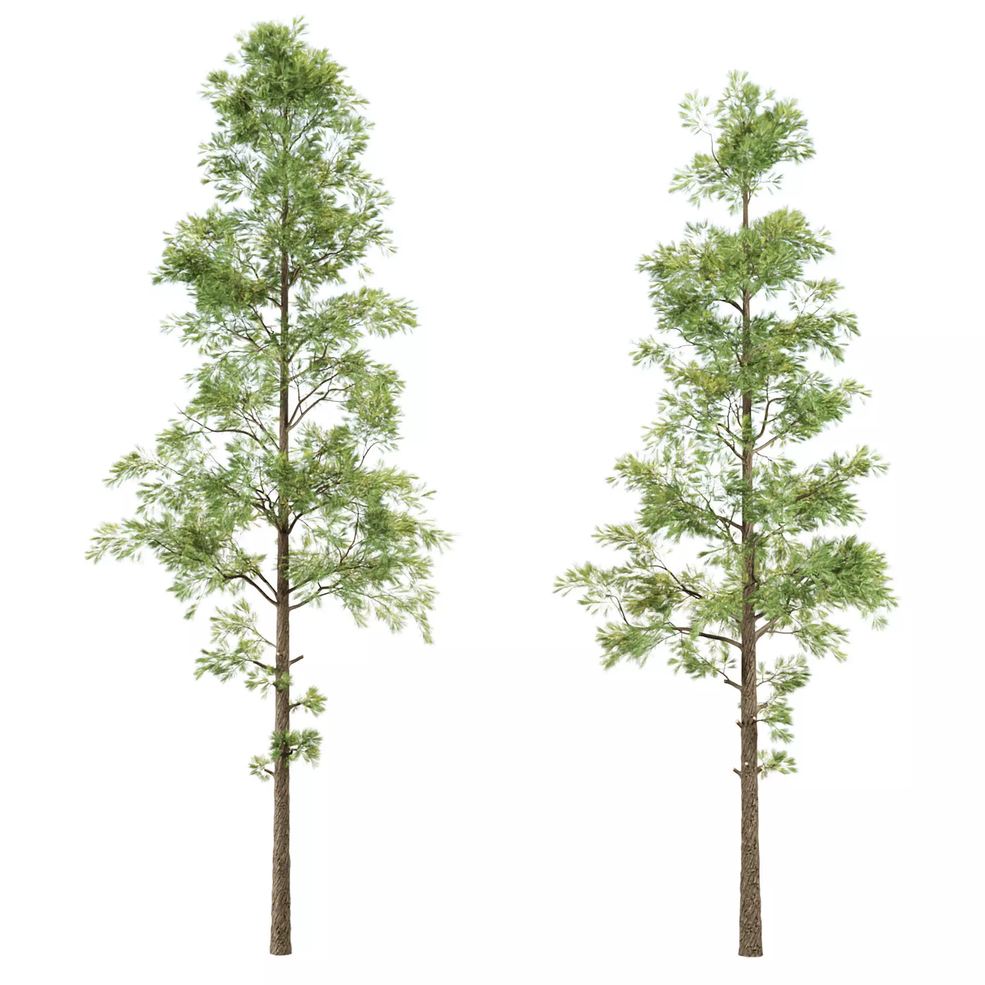 Trees 3D Model Vol 391 3D model