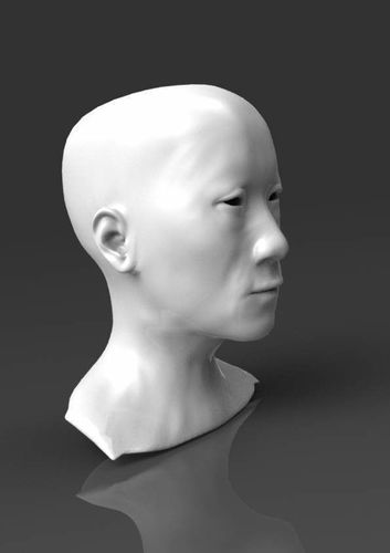 Detailed head 1 3D print model