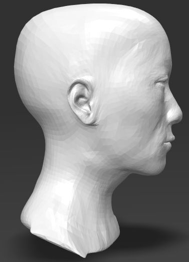 Detailed head 1 3D print model_2
