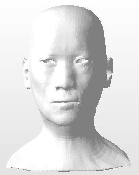 Detailed head 1 3D print model_3