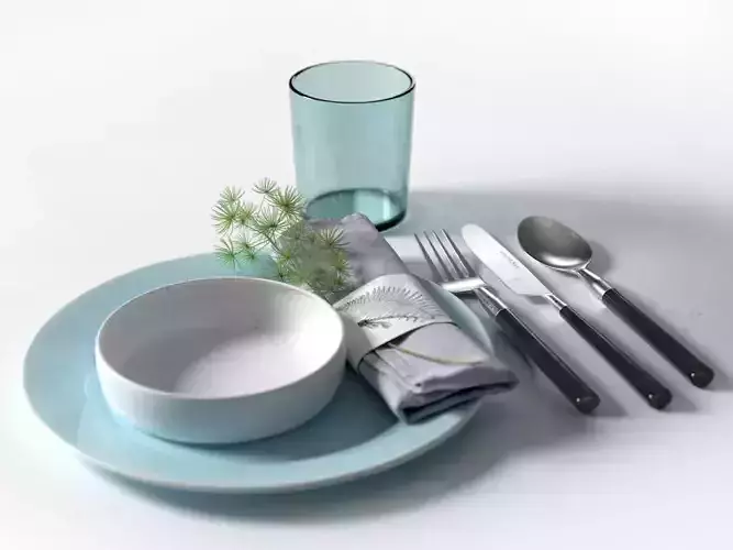Asparagus Densiflorus Napkin and Kitchen Accessories 3D model