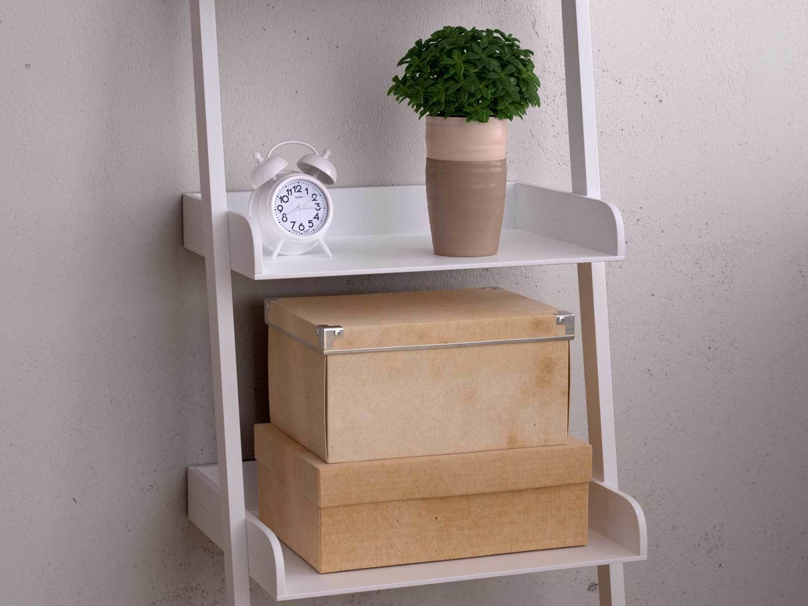 BeInspiration 6 ladder shelf with books and radio 3D model_5