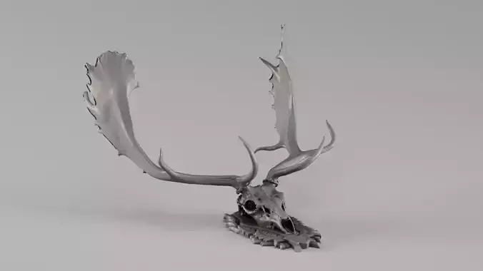 001731 Fallow Deer Skull Raw 3D Scan