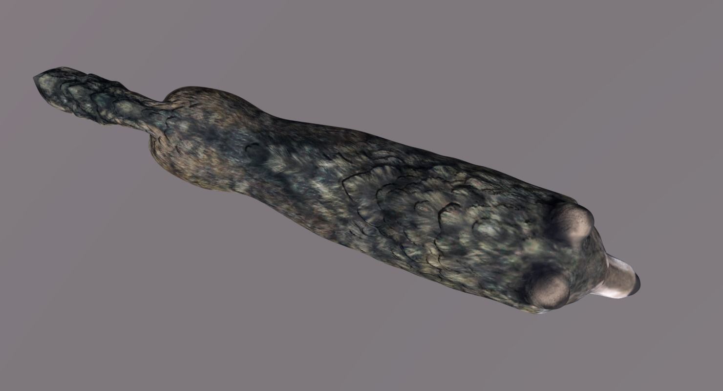 Lowpoly fantasy wolf Low-poly 3D model_20