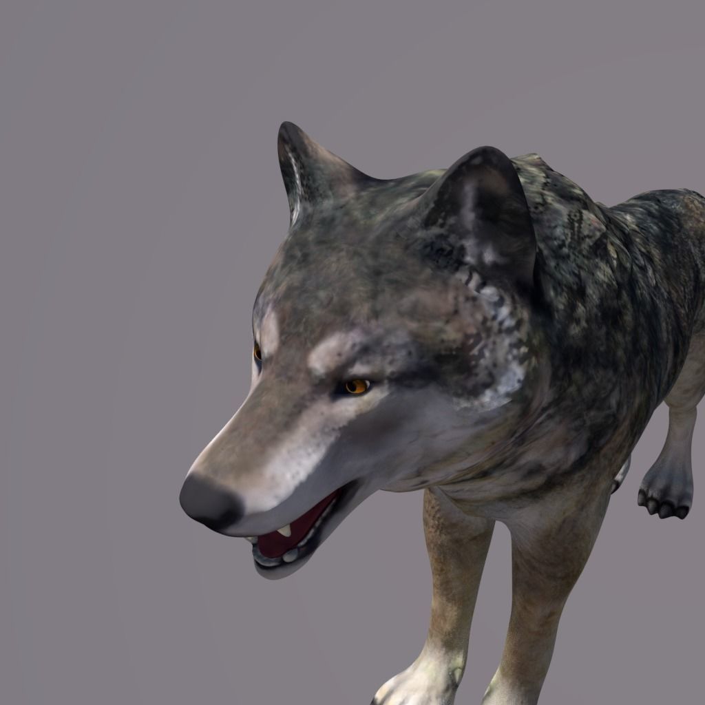 Lowpoly fantasy wolf Low-poly 3D model_5