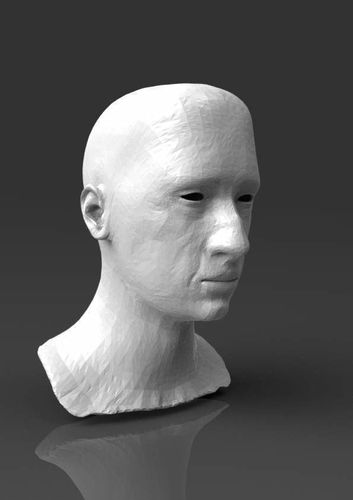 Detailed head 3 3D print model