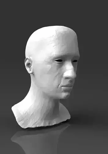 Detailed head 3 3D print model