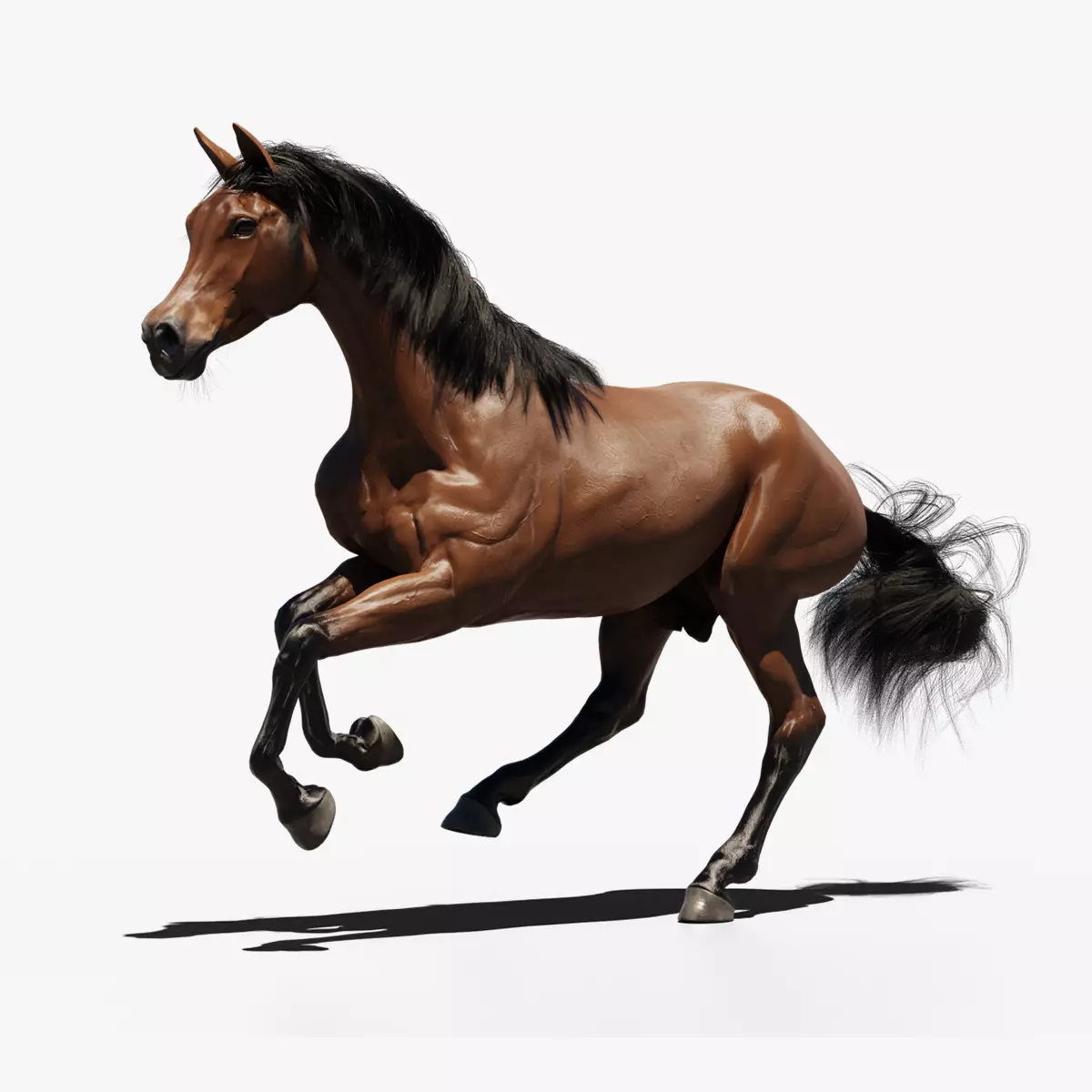 Arabian horse animated Low-poly 3D model