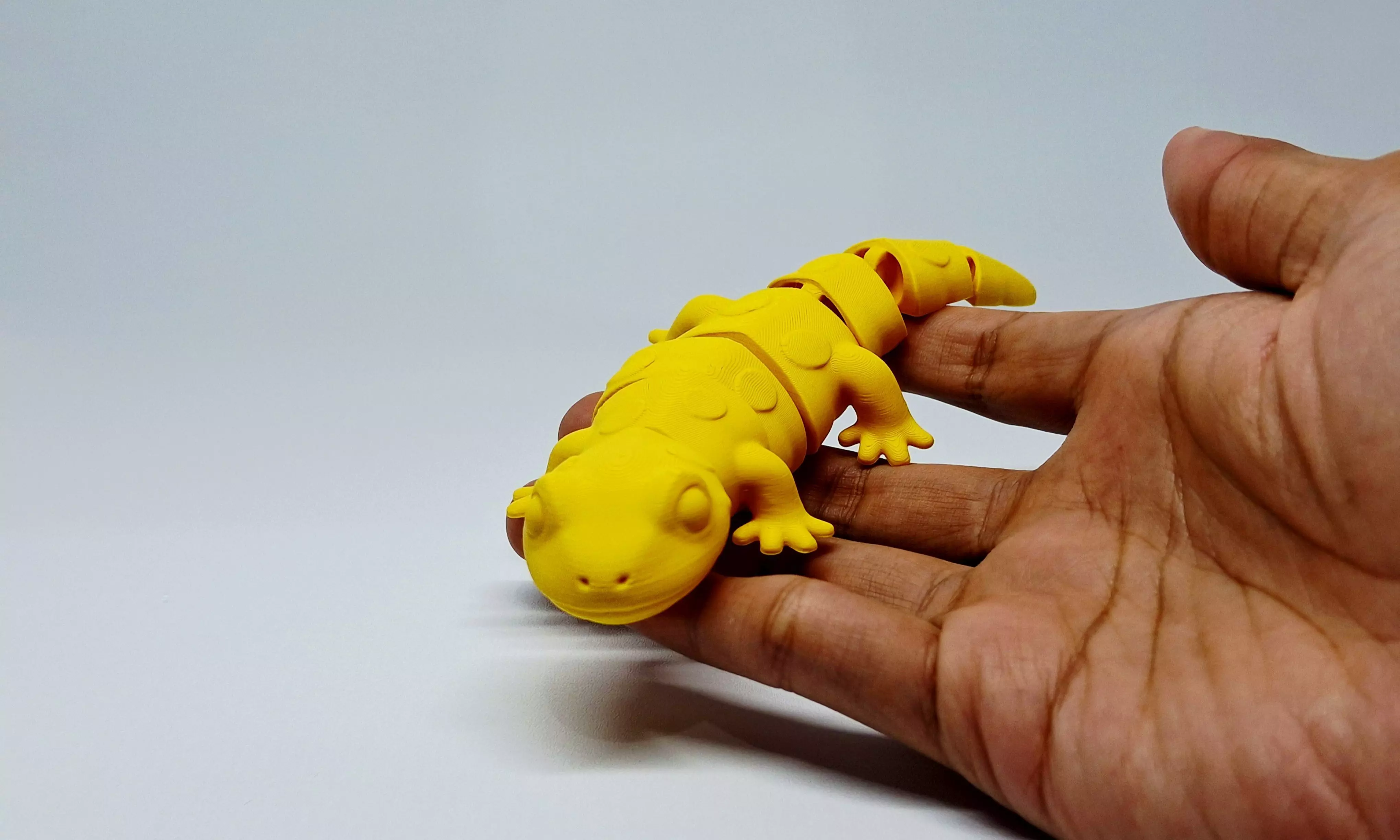 Salamander 3D Printable Animal Figurine STL 3D print model