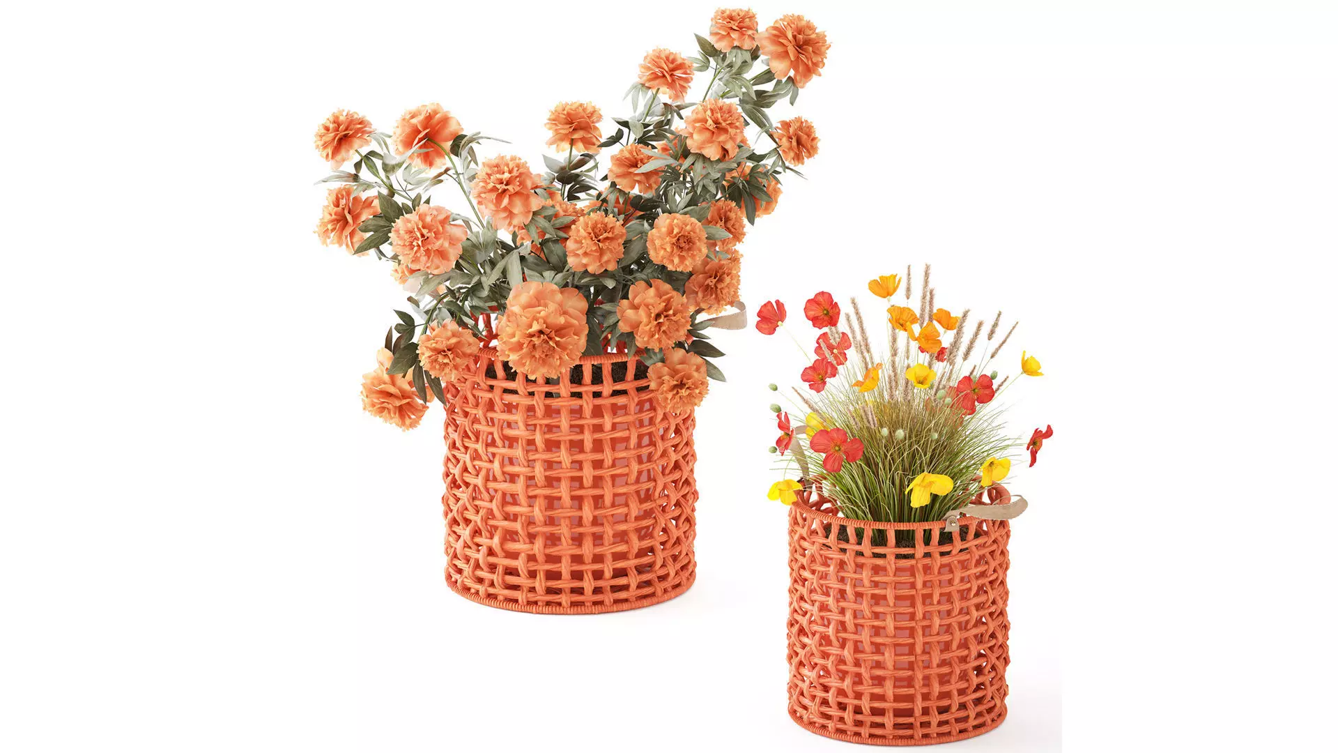 Peony Poppy flowers bushes terracotta basket pots decor 3D model