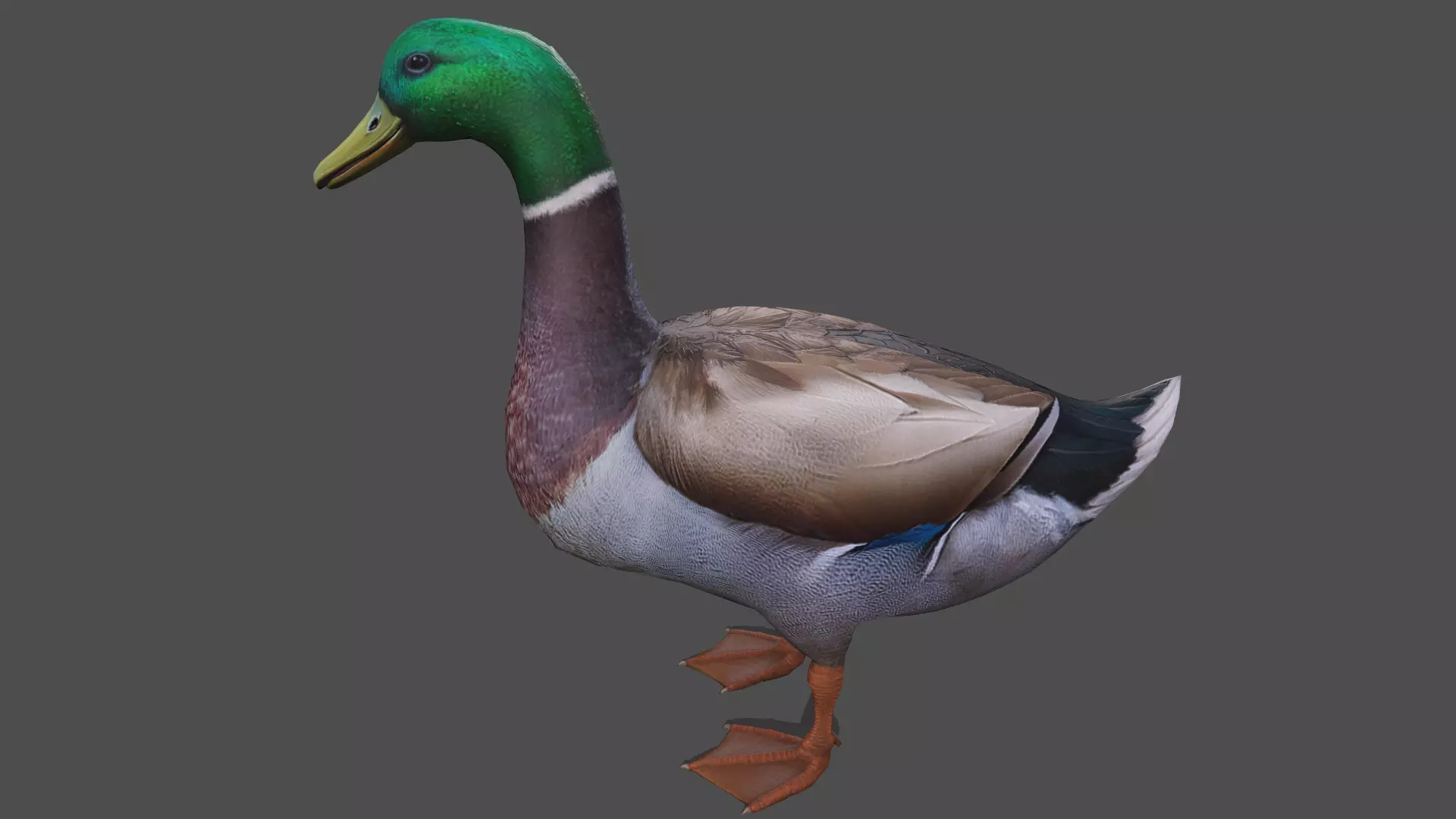 Mallard Duck Low-poly 3D model