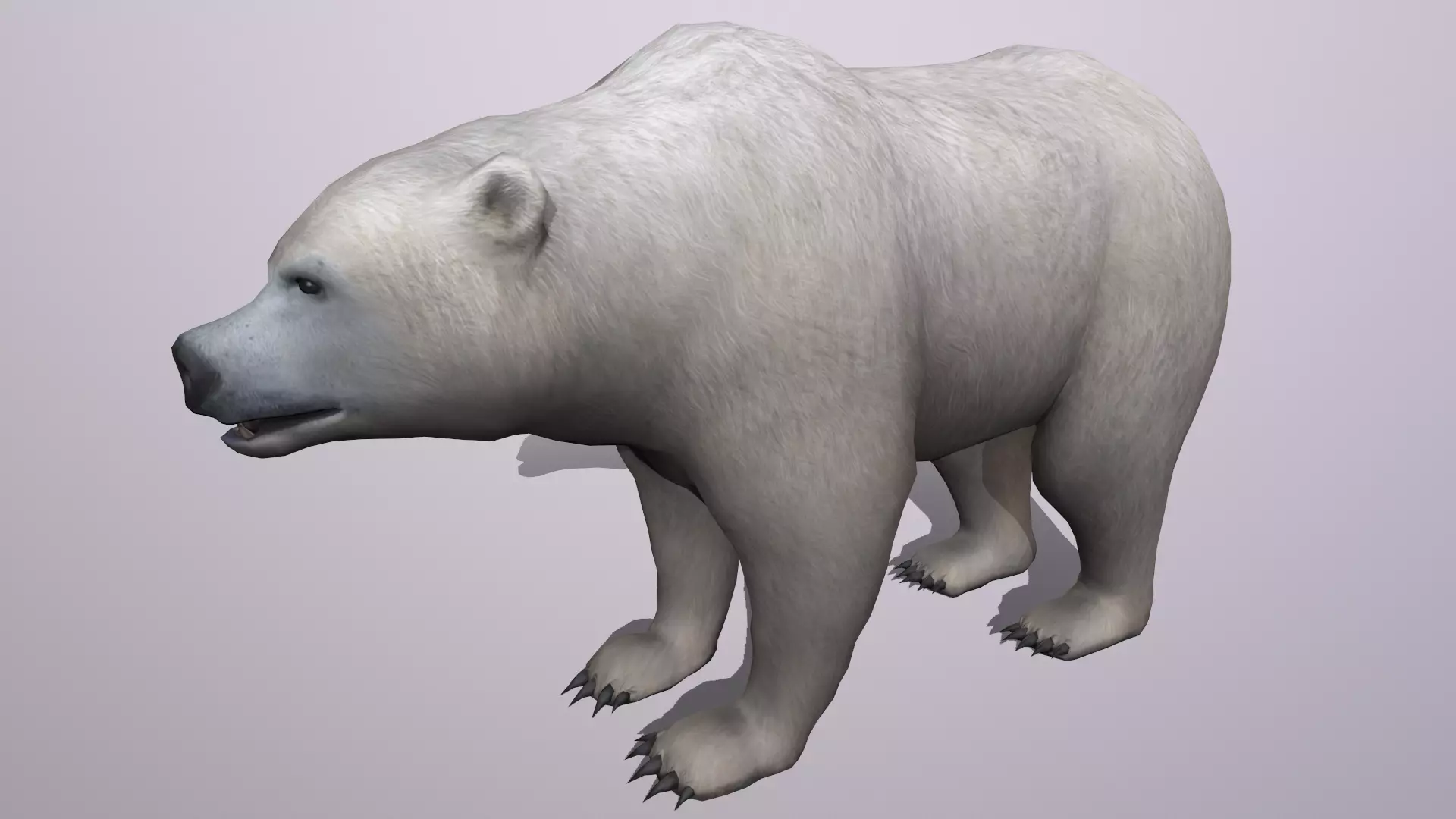 bear grizzly brown bear black bear Low-poly 3D model