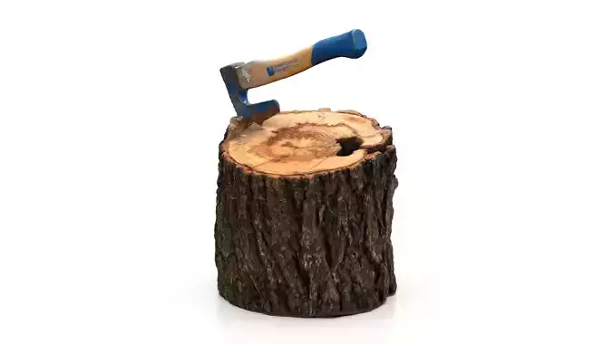 Log with small axe 3D model