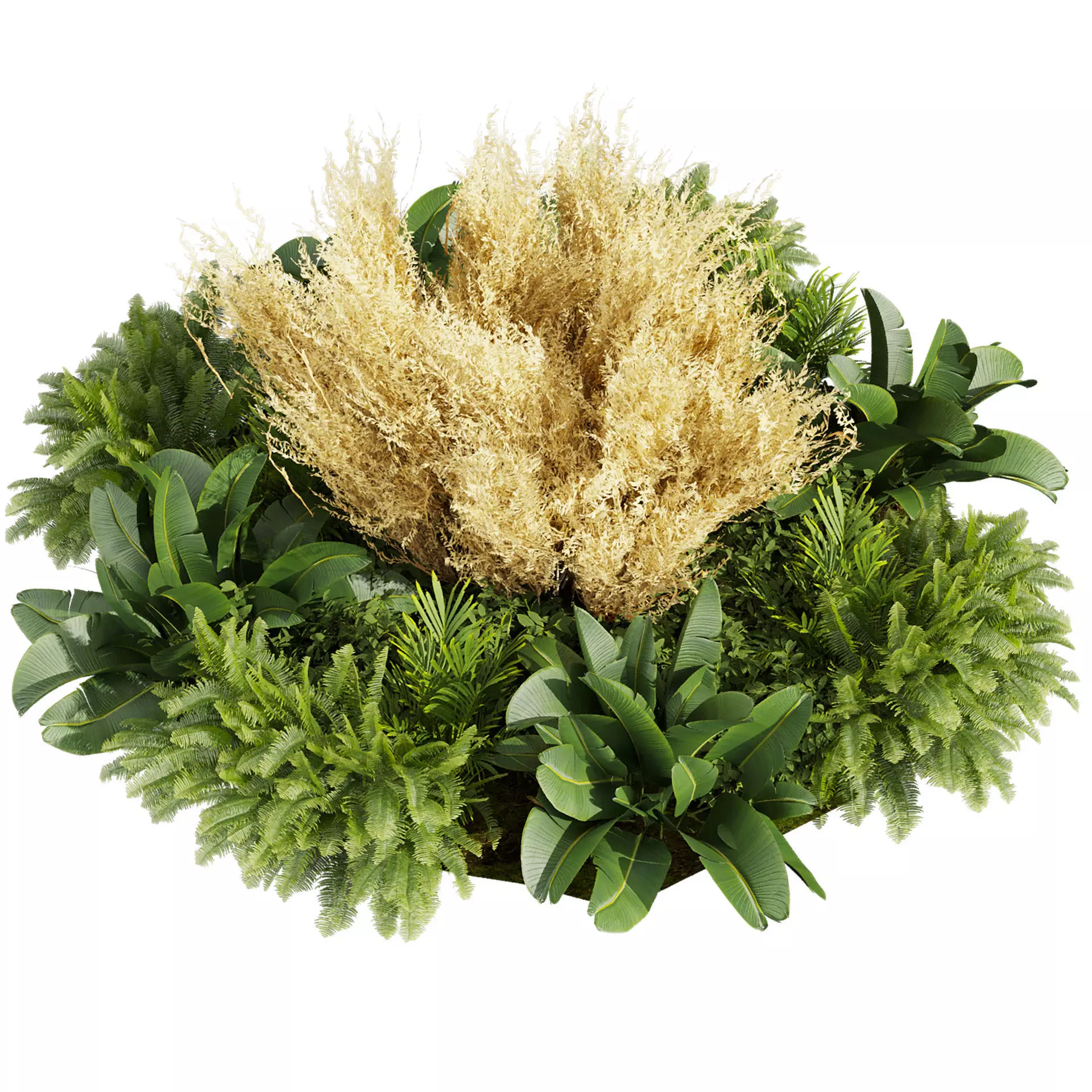 plant vol 883 - garden - pampas - banana 3D model